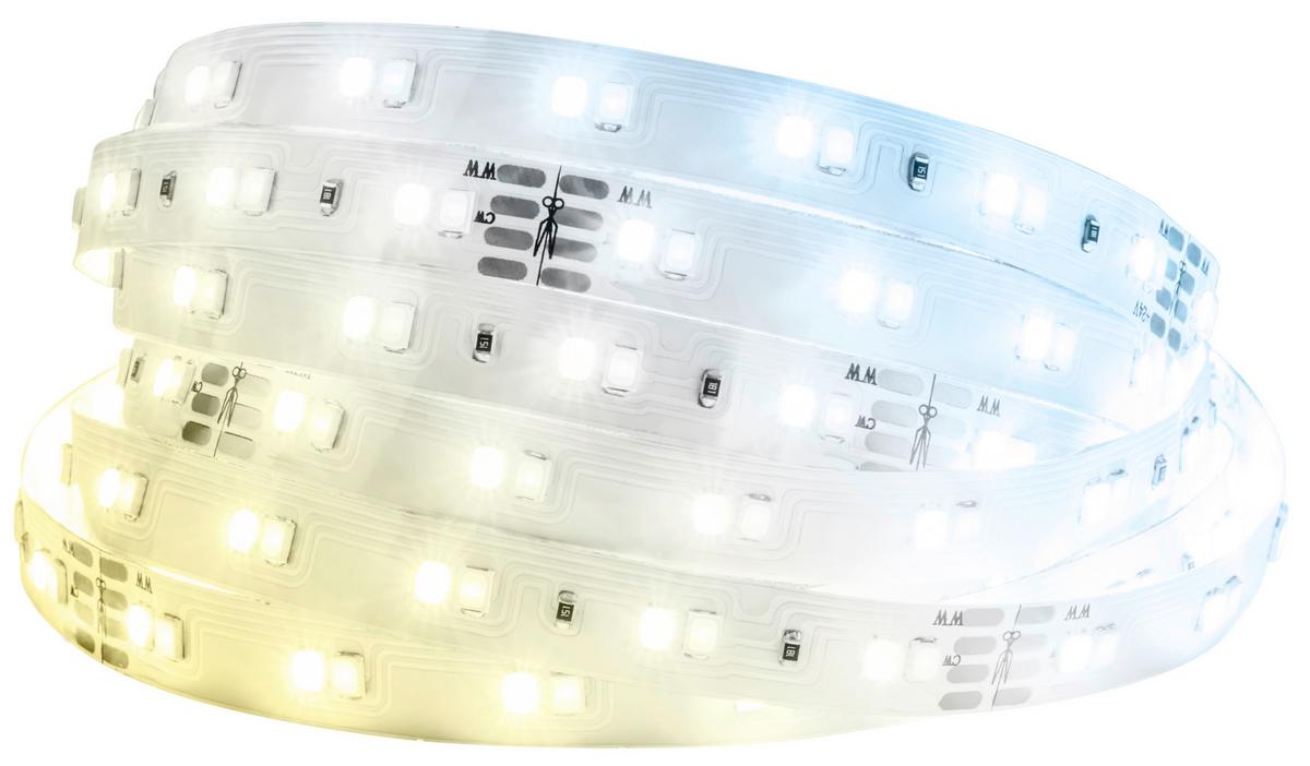 TAŚMA LED 8020294 PYP STARTER SET CCT - biały, Basics, tworzywo sztuczne (260cm) - Briloner