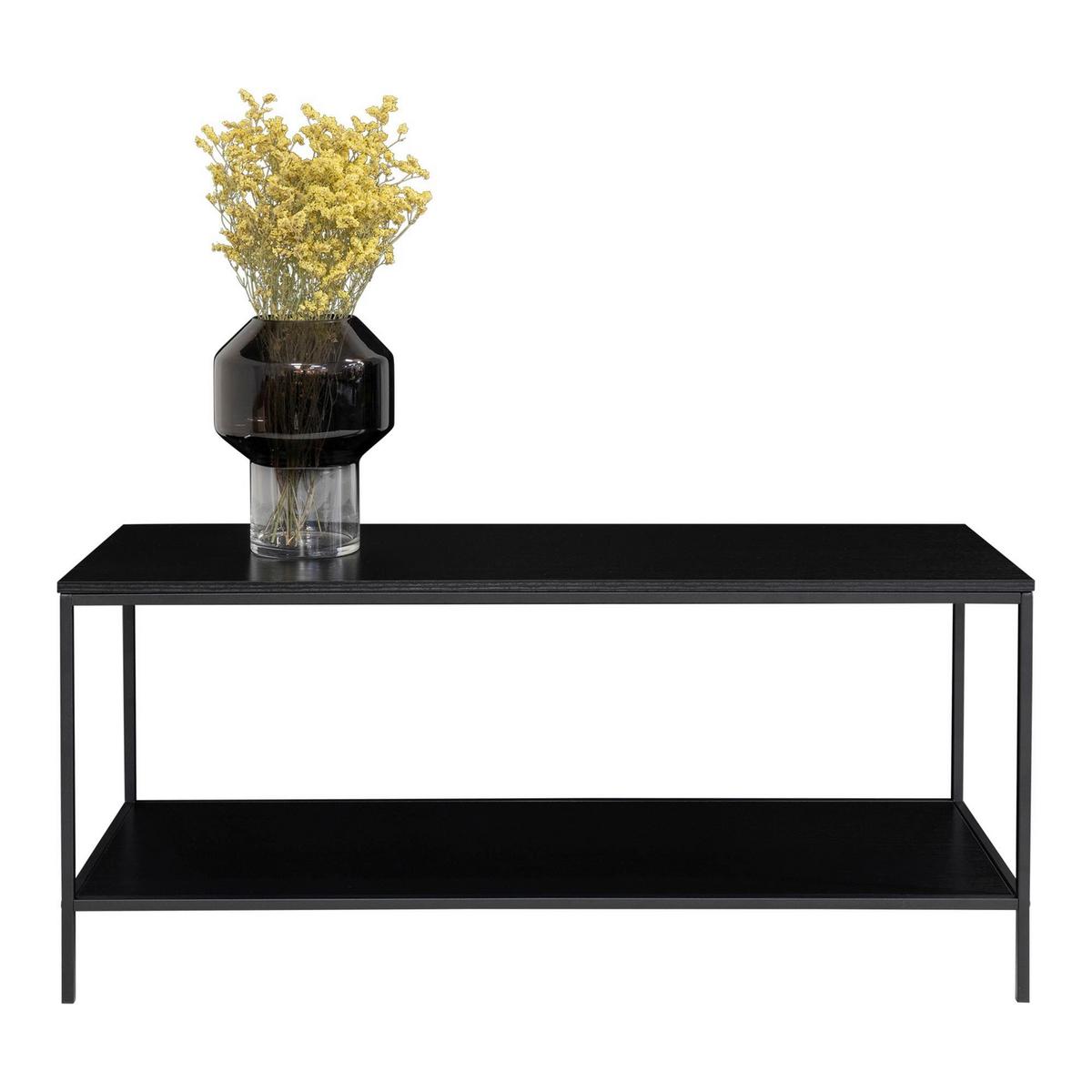 TV-Element Vita Schwarz - Schwarz, Design, Holzwerkstoff/Metall (100/45/36cm) - MID.YOU