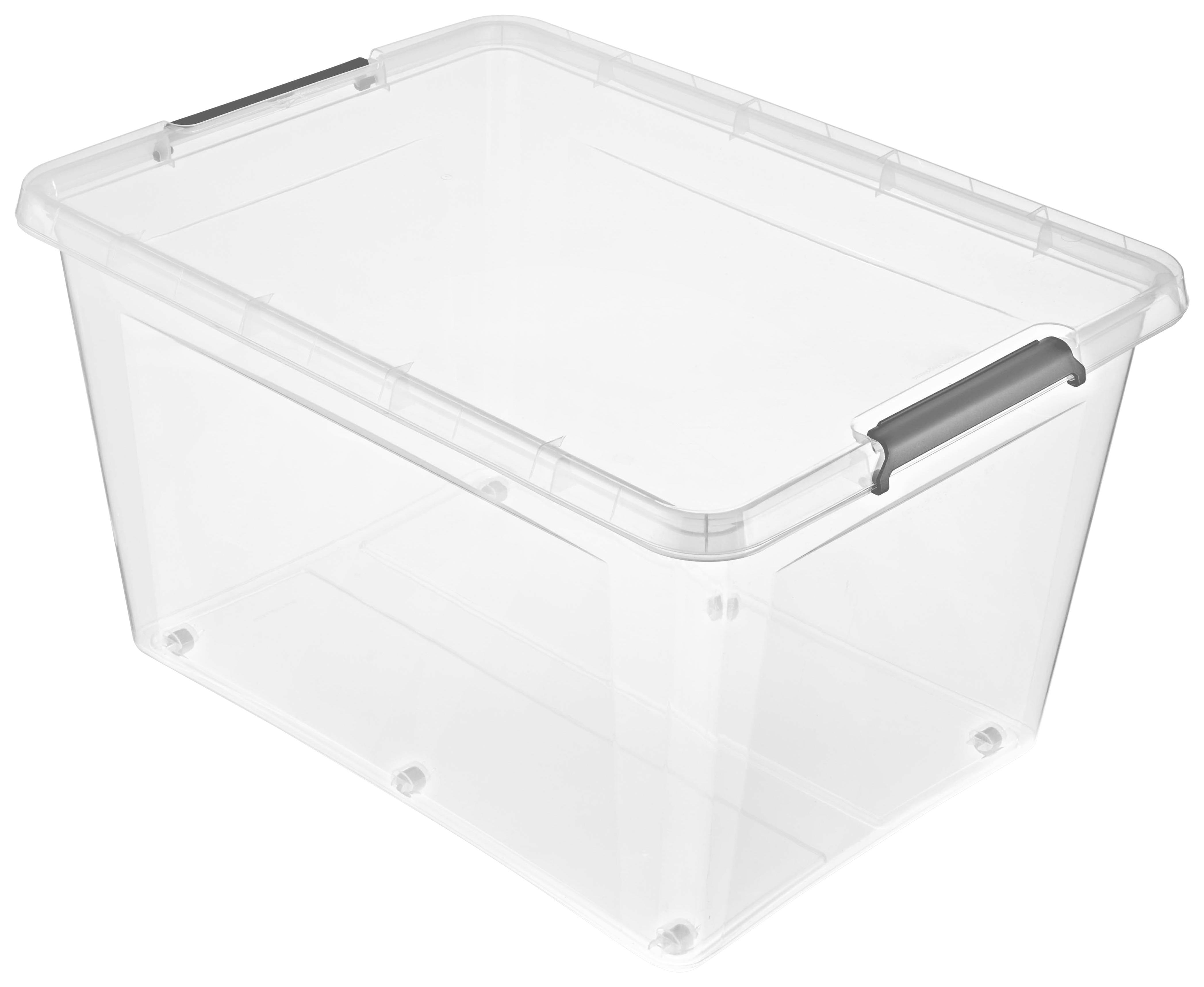Box mit Deckel Lars aus Kunststoff ca. 145l - Transparent, Kunststoff (76/57/42cm)