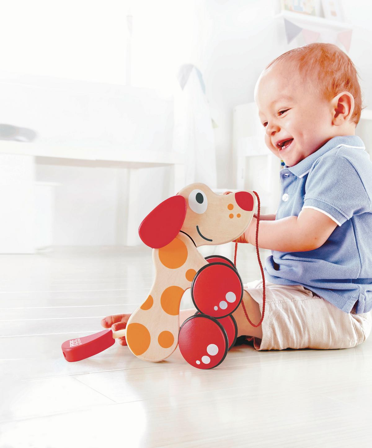 Húzható Játék Hape - Basics, műanyag/faalapú anyag (22/16,2/9,2cm) - Hape