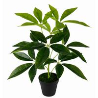 SZEFLERA 151412GN - zielony, Basics, tkanina (50cm)