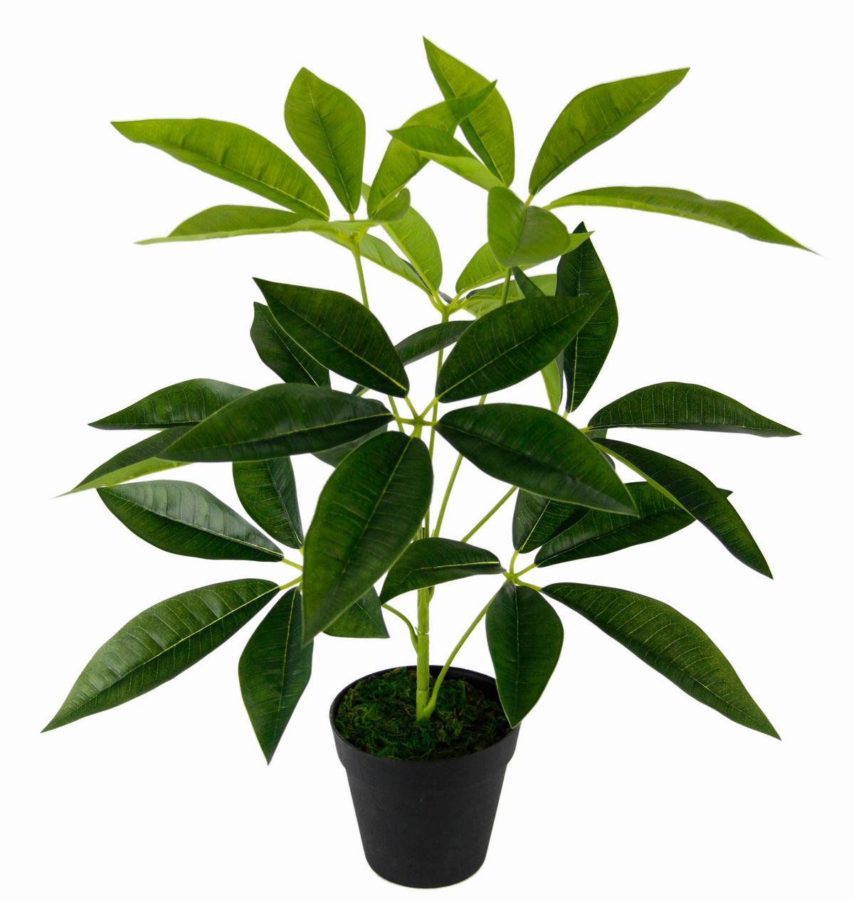 SZEFLERA 151412GN - zielony, Basics, tkanina (50cm)