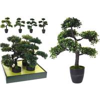 Plantă decorativă Bonsai - Basics (50cm)