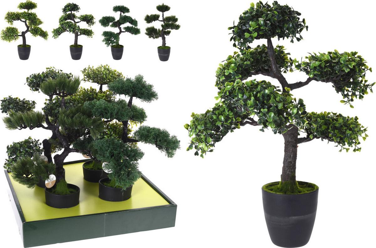 Plantă decorativă Bonsai - Basics (50cm)