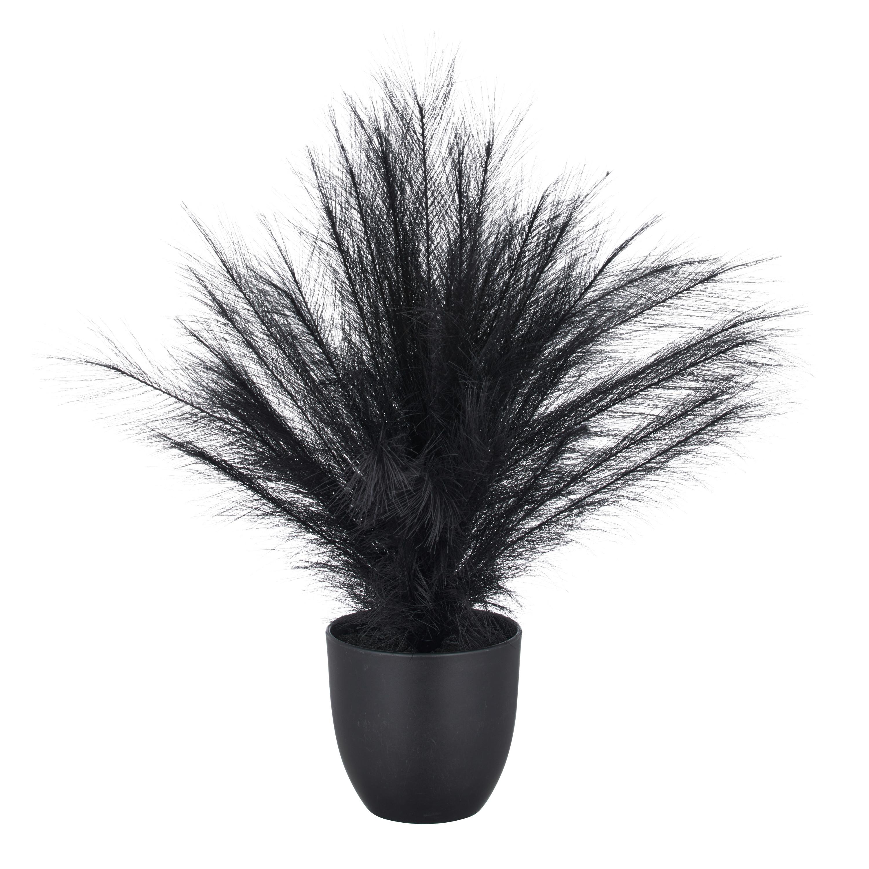 Biljka Umjetna Pampasgras - crna, Basics, plastika (14,5/63cm) - Mömax