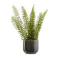 Ghiveci Decorativ Mood - gri, ceramică (6,5/6,5cm) - Modern Living Ghiveci Decorativ Mood - gri, ceramică (6,5/6,5cm) - Modern Living
