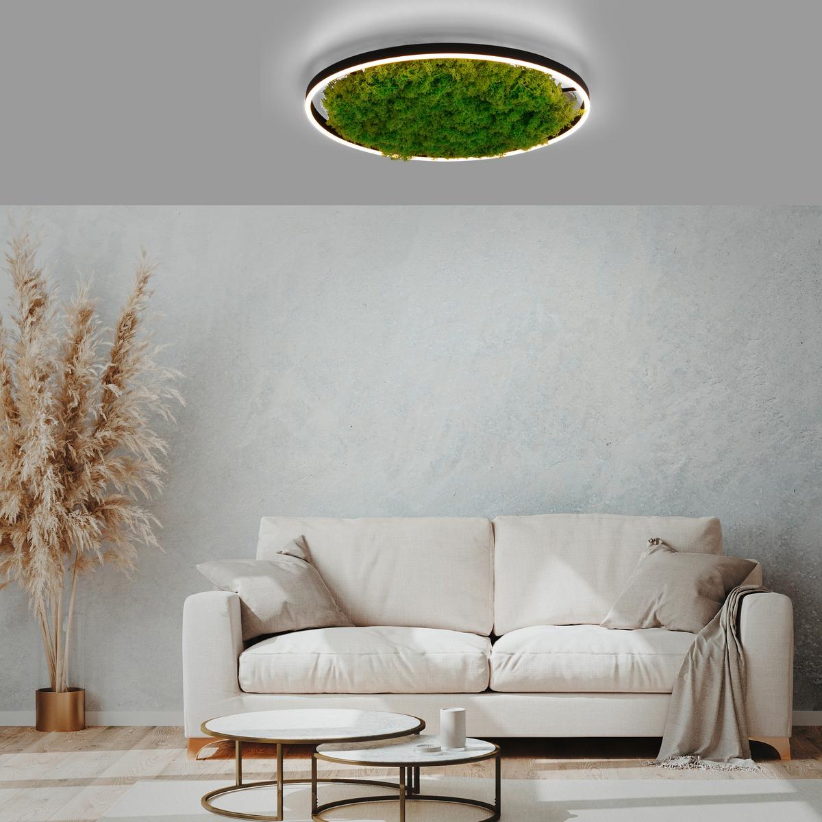 KINKIET 15392-66 GREEN RITUS - Natur, tworzywo sztuczne/materiały naturalne (58,5/58,5/5,3cm)