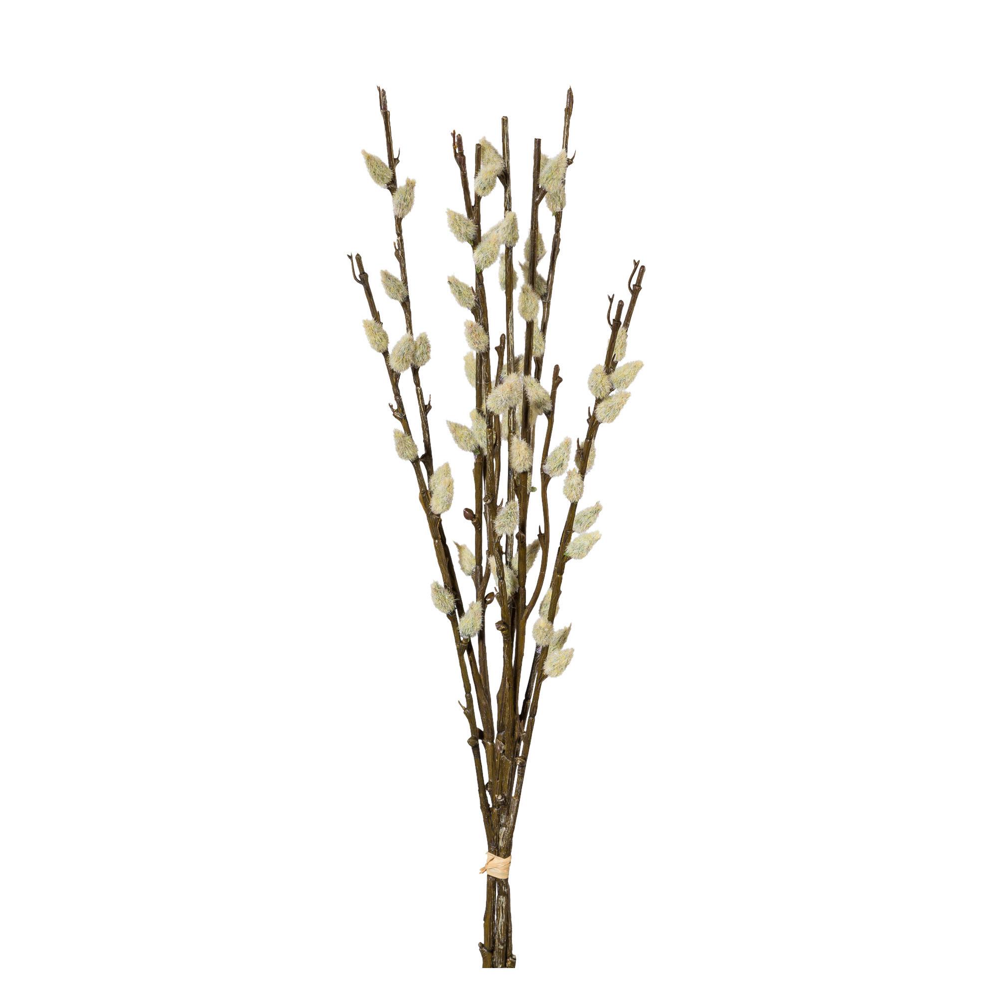 Kunstpflanze Weidekätzchenbund I Weiß/Braun - Weiß/Braun, KONVENTIONELL, Kunststoff (42cm) - Mömax
