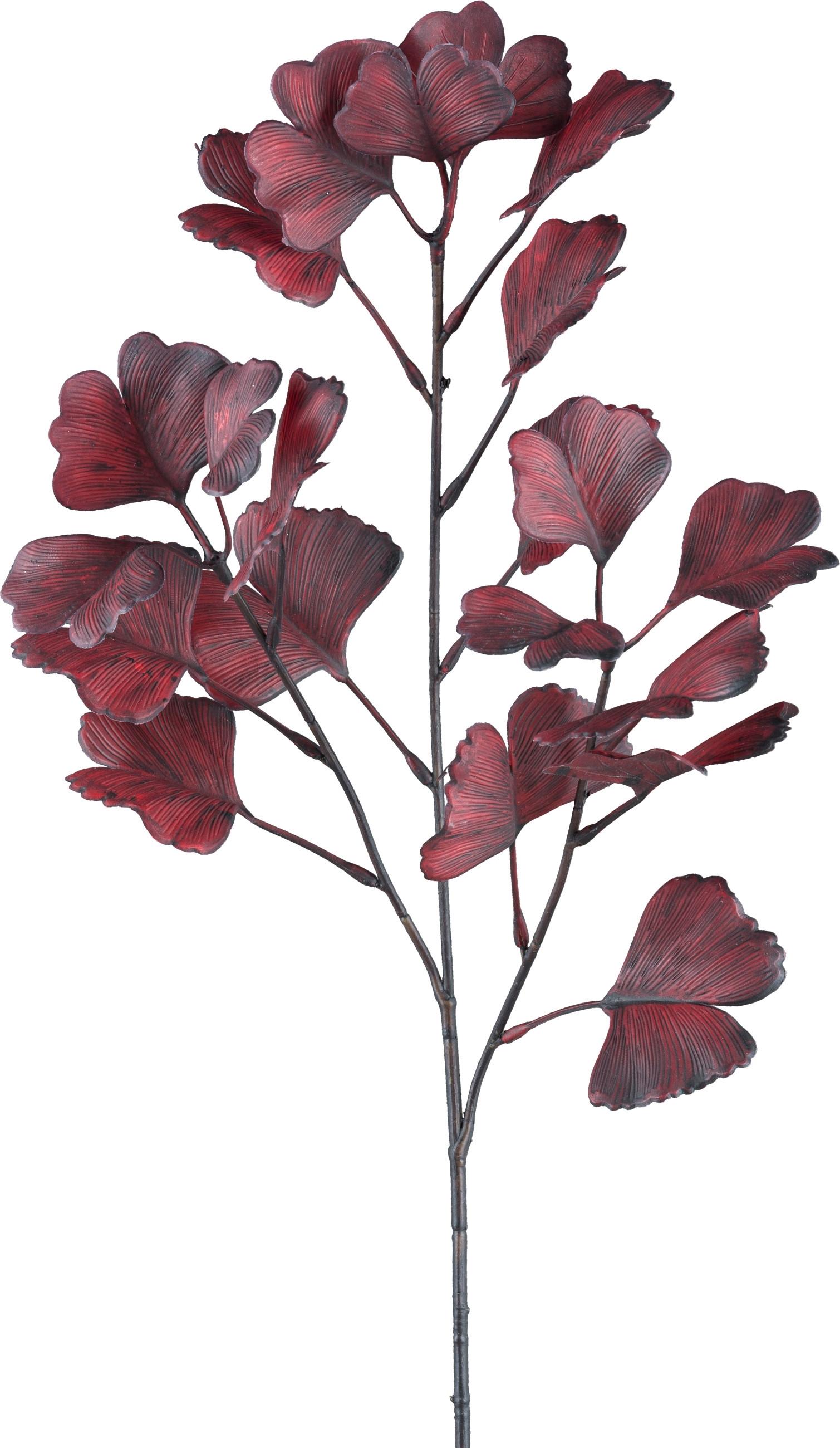 Dekor Gally Ginkgo - sötétvörös/barna, Konventionell, műanyag (62cm) - Modern Living