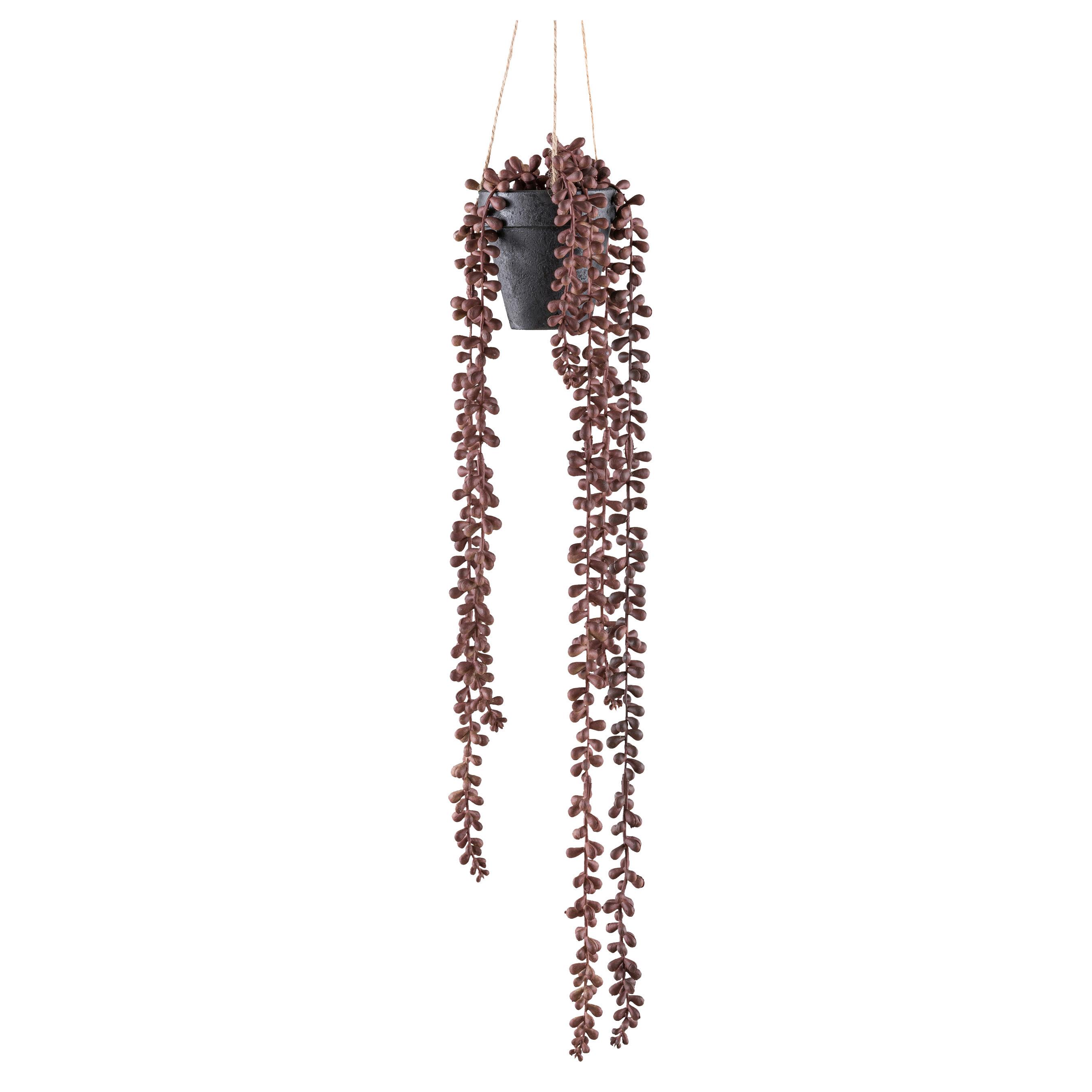 Kunstpflanze Sukkulenten Rotbraun/Schwarz - Rotbraun/Schwarz, Design, Kunststoff (60cm)