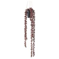 Kunstpflanze Sukkulenten Rotbraun/Schwarz - Rotbraun/Schwarz, Design, Kunststoff (60cm)