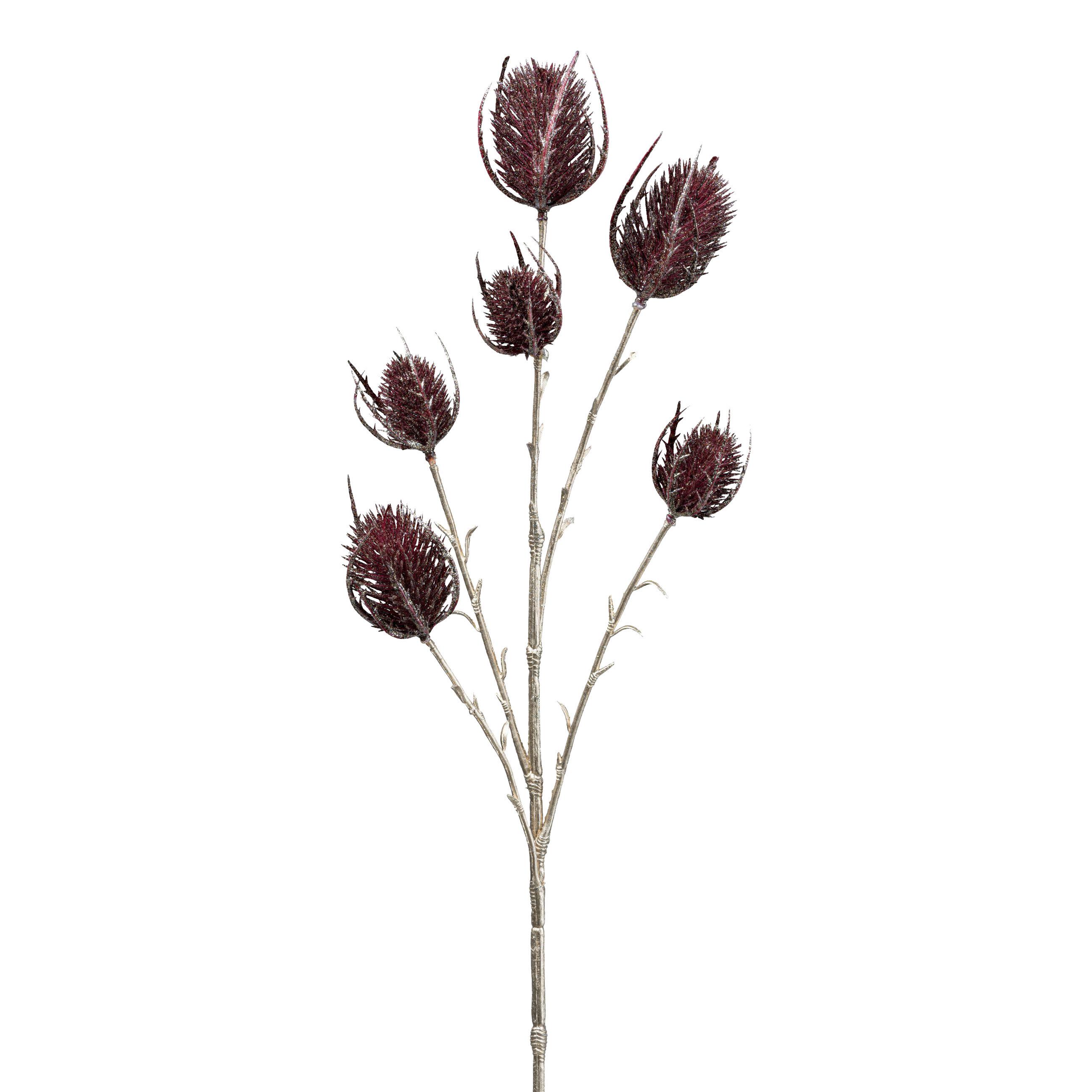 Dekor Gally Bogáncs - barna/bordó, Konventionell, műanyag (64cm) - Modern Living