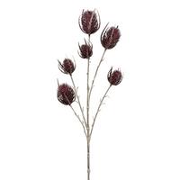 Dekor Gally Bogáncs - barna/bordó, Konventionell, műanyag (64cm) - Modern Living