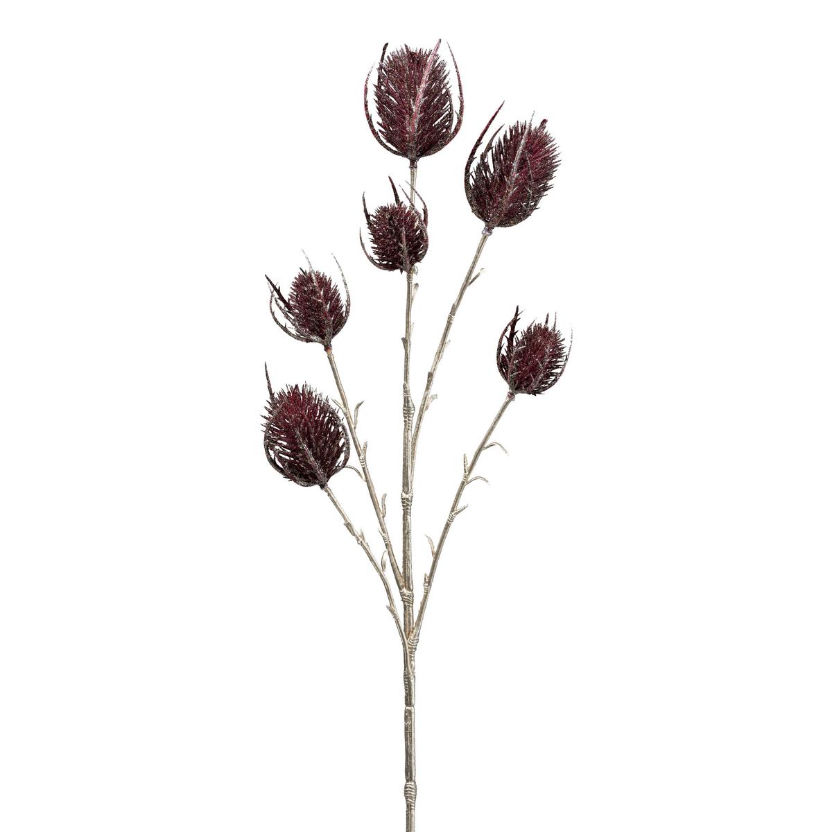 Dekor Gally Bogáncs - barna/bordó, Konventionell, műanyag (64cm) - Modern Living