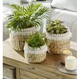 Vas Ornamental Pentru Ghiveci Jimmy - alb/culoare natur, lemn (16/16cm) - Zandiara Vas Ornamental Pentru Ghiveci Jimmy - alb/culoare natur, lemn (16/16cm) - Zandiara