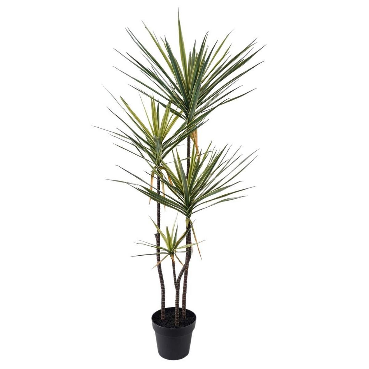 Műnövény Dracena - barna/fekete, műanyag (55/45/120cm)