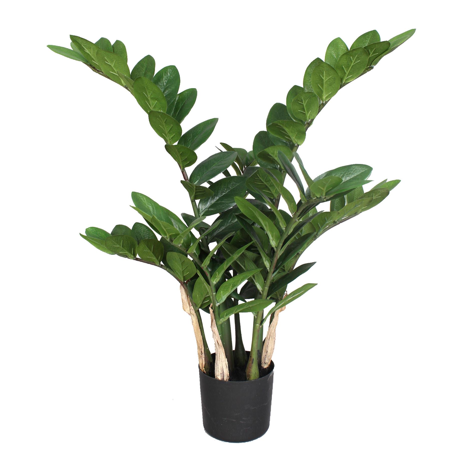 Kunstpflanze Grünpflanzen Grün/Schwarz/Braun - Schwarz/Braun, Design, Kunststoff (70cm)