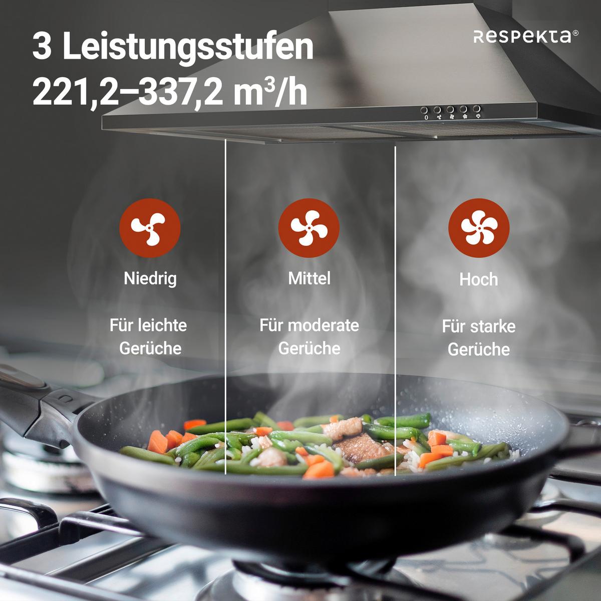 Dunstabzugshaube Nola Edelstahl B: ca. 60 cm - Edelstahlfarben, Trend, Metall (60/58-96/47,5cm) - Respekta