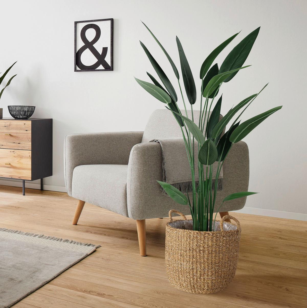 Kunstpflanze Wassercanna In Grün Ca. 140cm - Schwarz/Grün, Basics, Kunststoff (140cm) - Modern Living