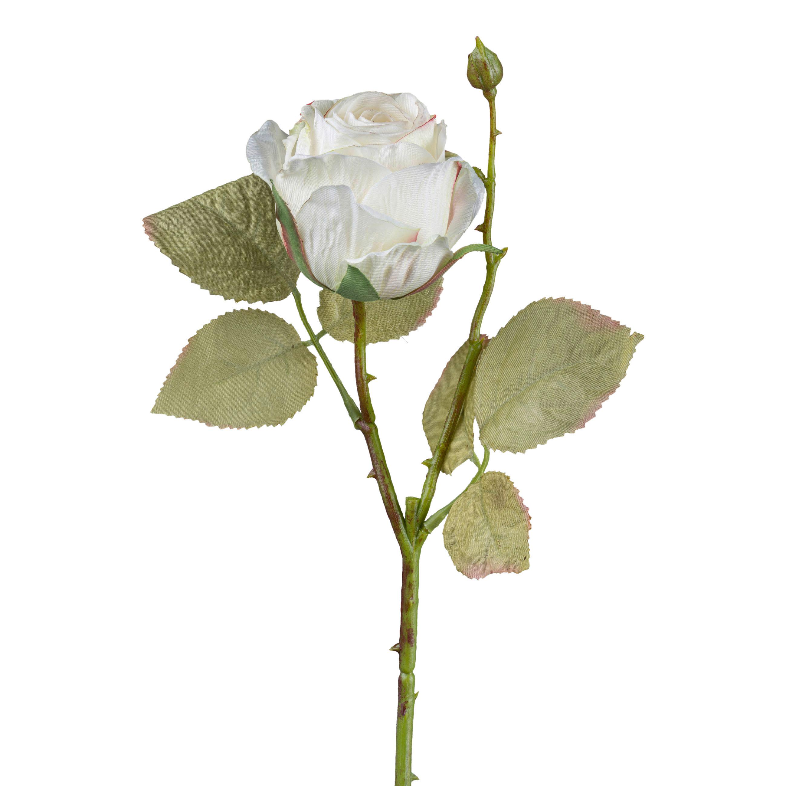 Okrasna Vejica Vintagerose I - bela/zelena, Konvencionalno, umetna masa (45cm) - Modern Living