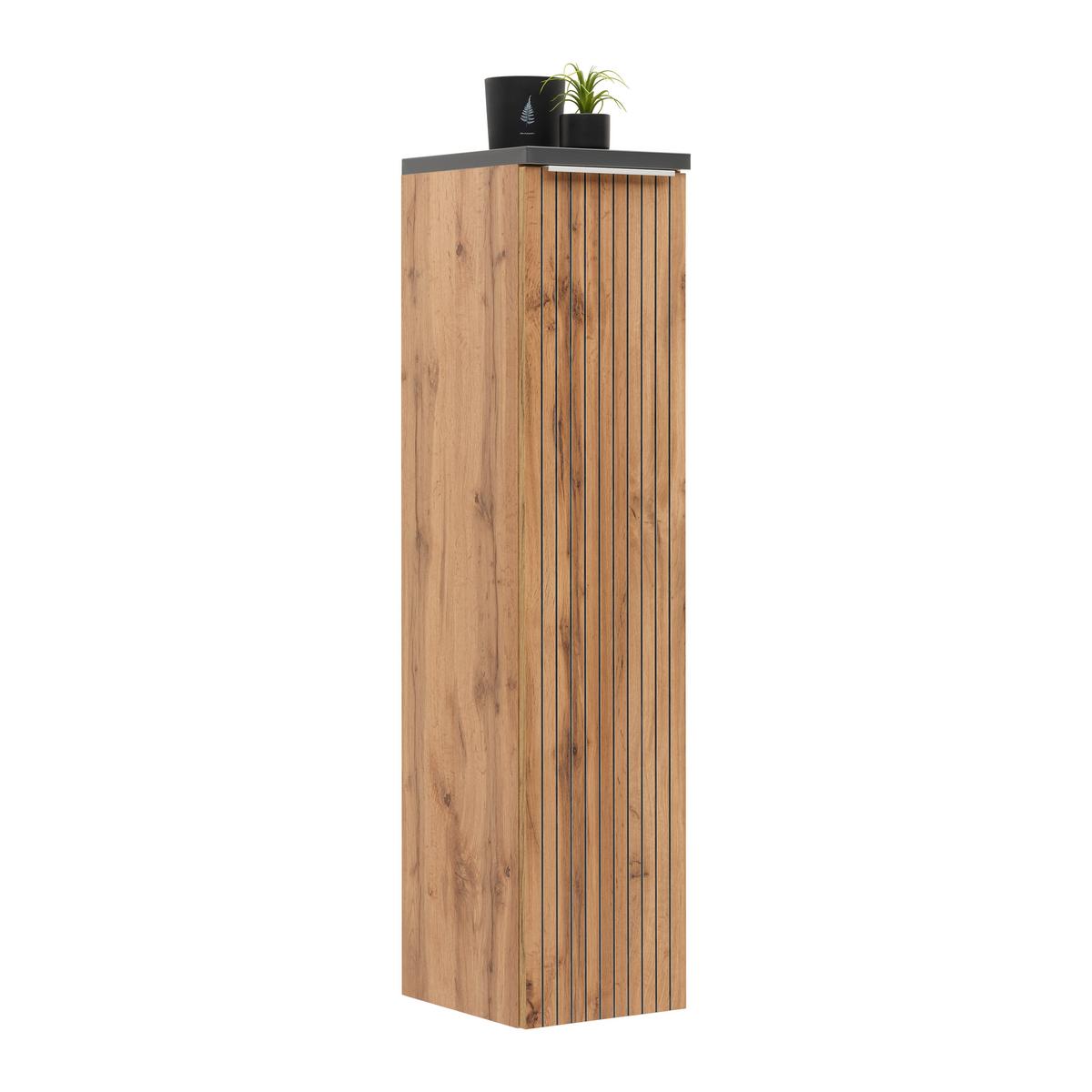 Midischrank Jakarta in Schwarz/Eiche Wotan - Eiche Wotan/Schwarz, Modern, Holzwerkstoff/Kunststoff (30/130/35cm) - Mömax