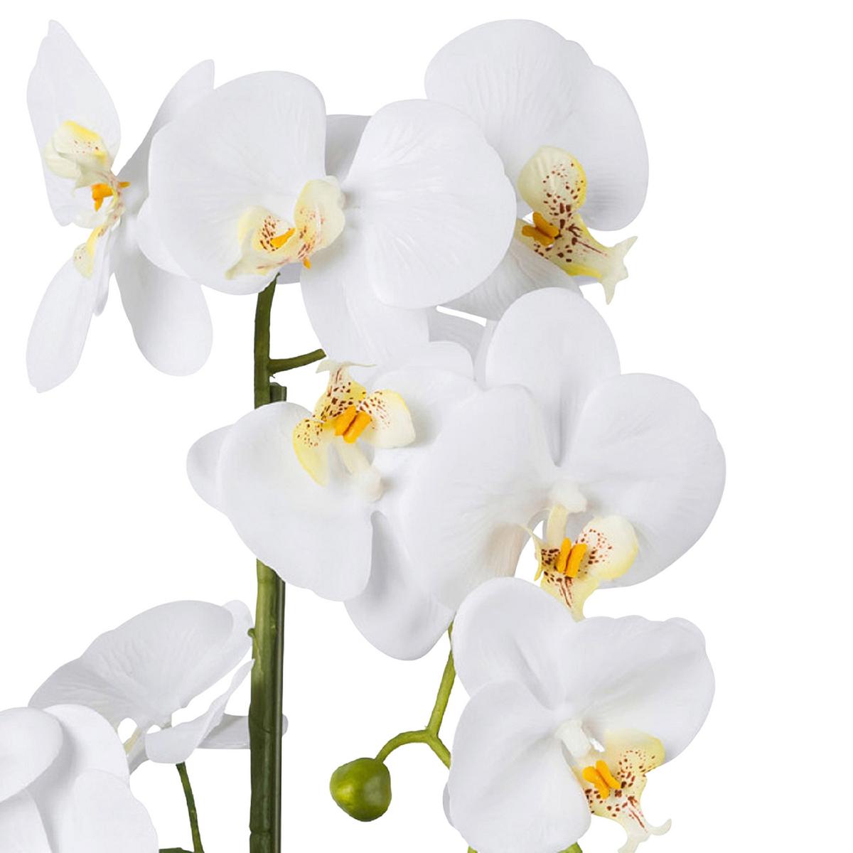 Kunstpflanze Orchideen Weiß/Grün - Weiß/Grün, Design, Keramik/Kunststoff (52cm)