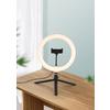 LED-RINGLAMPA TOFO - svart, Modern, metall/plast (24,5/38cm) - Mömax