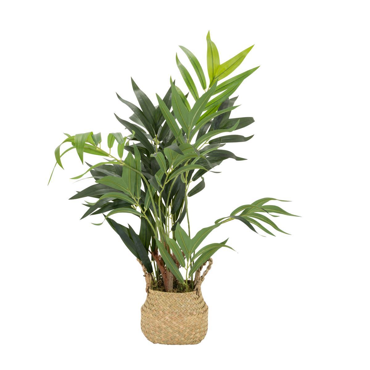 Umetna Rastlina Chamaedorea - svetlo rjava/zelena, Basics, umetna masa/tekstil (50/65/50cm) - MID.YOU