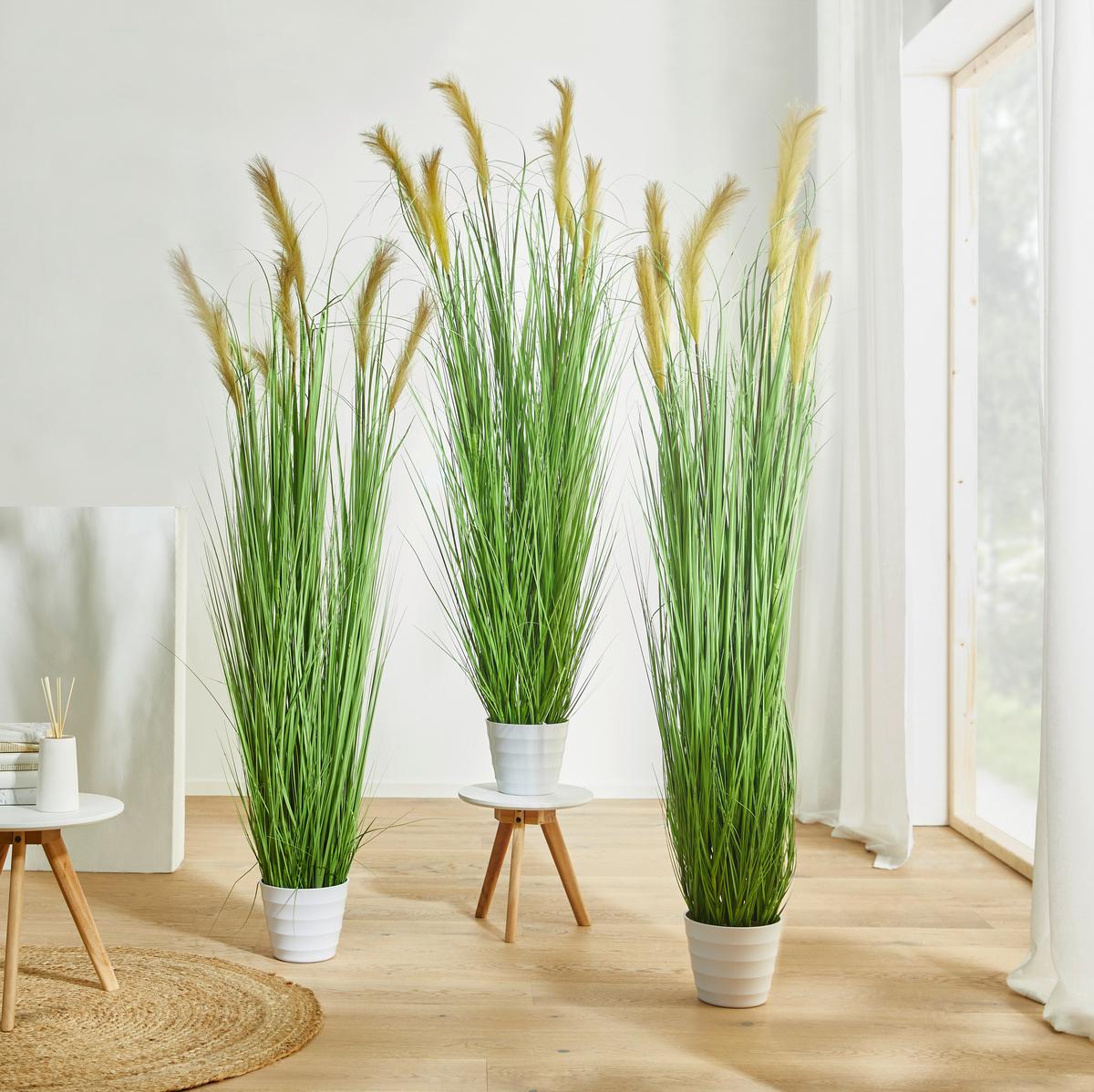 Plantă artificială GRASBUSCH I –JUB- - alb/verde, Natur, plastic (180cm) - Modern Living