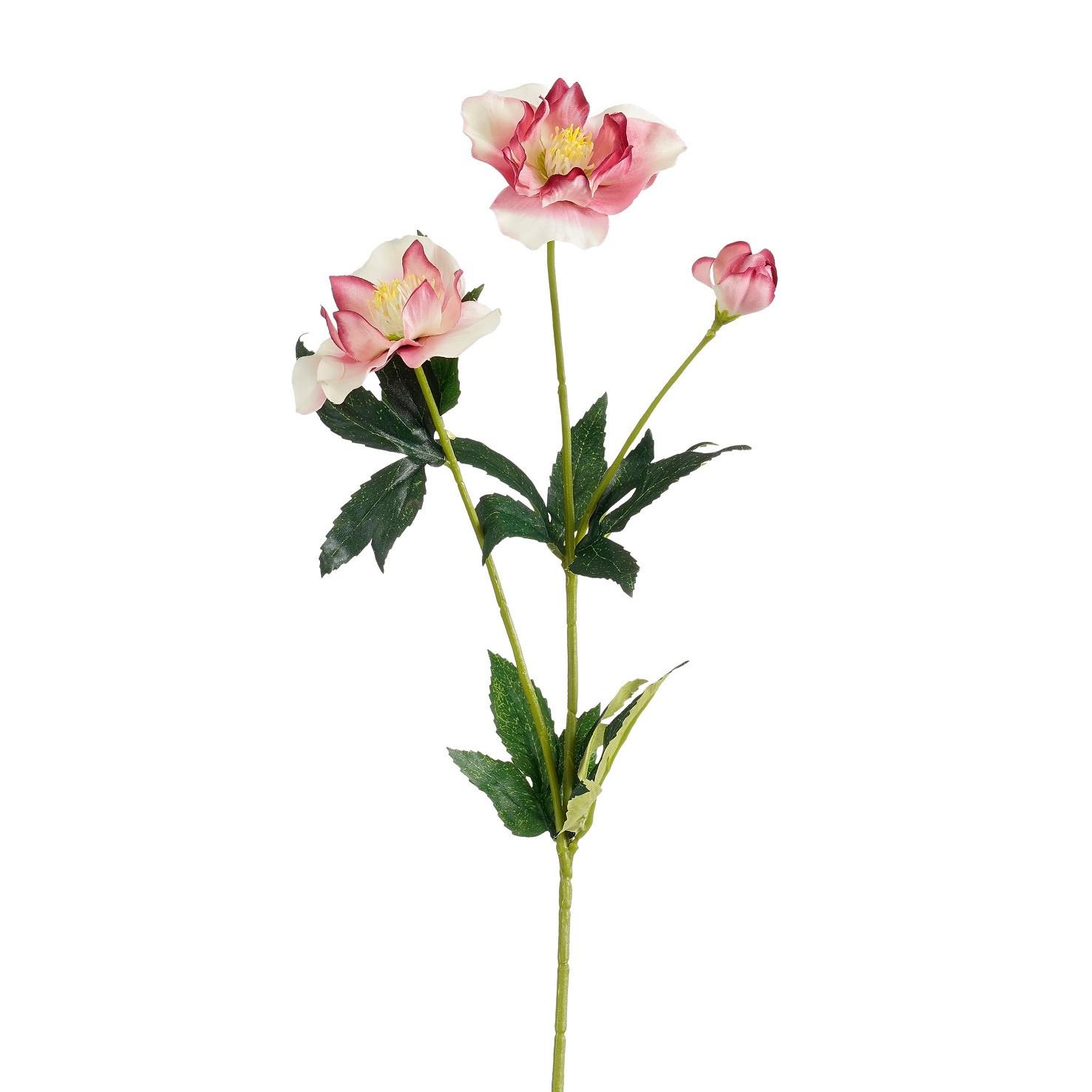 Umetna Roža Teloh - roza/bela, Moderno (59cm) - Mömax