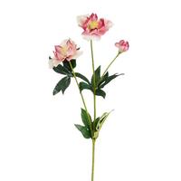 Umetna Roža Teloh - roza/bela, Moderno (59cm) - Mömax