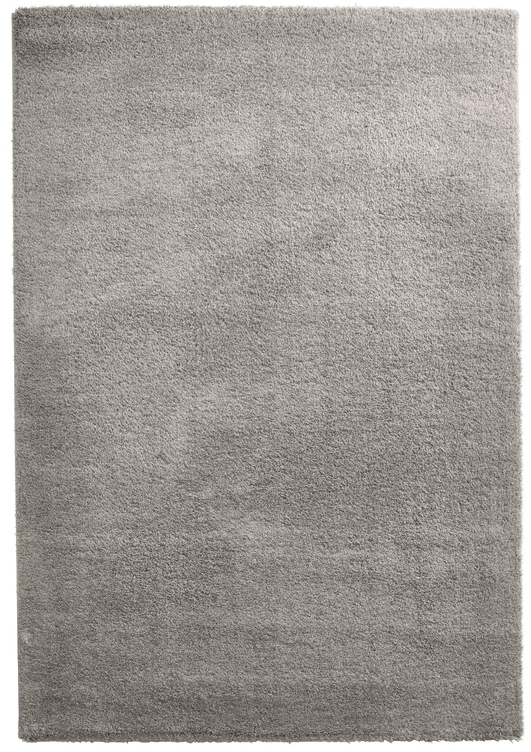 Covor Shaggy Stefan 3 - gri deschis, Modern, textil (160/230cm) - Modern Living