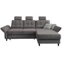 Wohnlandschaft Brizzini Graubraun Chenille - Graubraun/Hellgrau, MODERN, Holz/Textil (250-280/176cm) - Livetastic