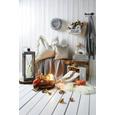 Zierkissen Janet 45x45cm - Beige/Goldfarben, LIFESTYLE, Textil (45/45cm) - Premium Living Zierkissen Janet 45x45cm - Beige/Goldfarben, LIFESTYLE, Textil (45/45cm) - Premium Living