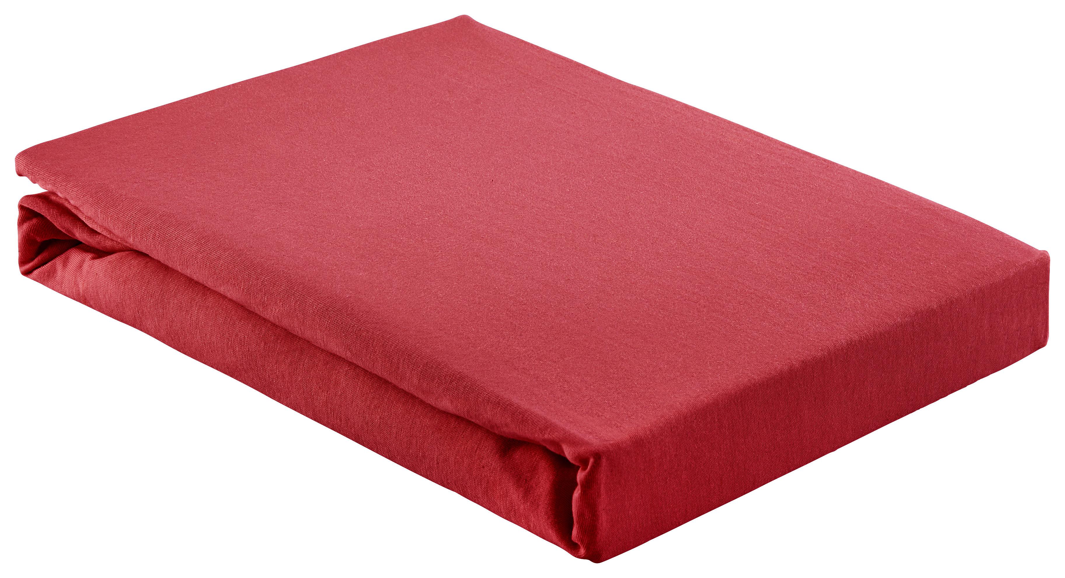 Cearşaf cu elastic Basic - bordo, textil (180/200cm) - Modern Living