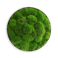 Moosbild Grün - Grün, Basics, Naturmaterialien/Metall (80/10cm)