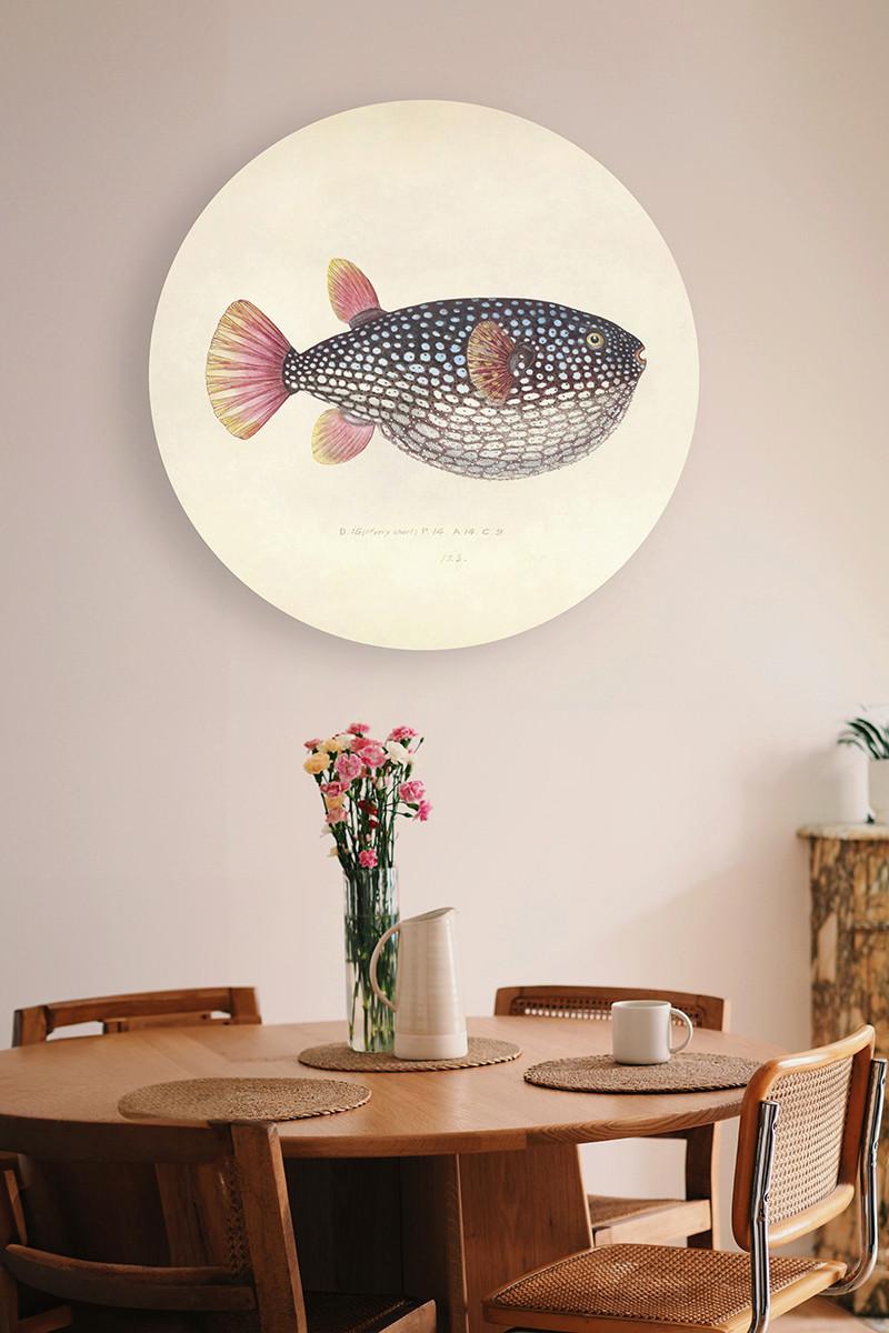 METALLBILD BLOWFISH - Basics, Metall (120/0.3cm)