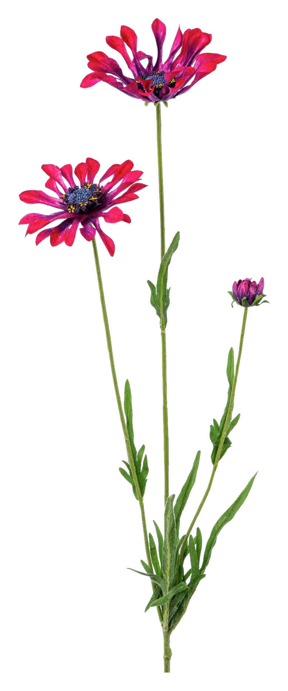 Margerite Kapmargerite I Grün/Bordeaux - Bordeaux/Grün, Basics, Kunststoff/Textil (66cm) - Mömax