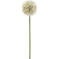 Dekorág Romeo - natúr színek/barna, műanyag (75cm)
