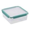 Frischhaltedose Linnea Mint/transparent - Transparent/Mintgrün, MODERN, Kunststoff (22,0/22,0/8,5cm) Frischhaltedose Linnea Mint/transparent - Transparent/Mintgrün, MODERN, Kunststoff (22,0/22,0/8,5cm)