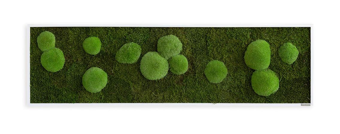 Moosbild Grün - Weiß/Grün, Basics, Naturmaterialien/Holz (140/40/6cm)