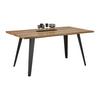 MATBORD DIEGO - svart/ekfärgad, Modern, metall/trämaterial (160/90/76cm) - Bessagi Home