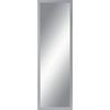 VÄGGSPEGEL SILVER - silver, trämaterial/glas (50/150/2cm)