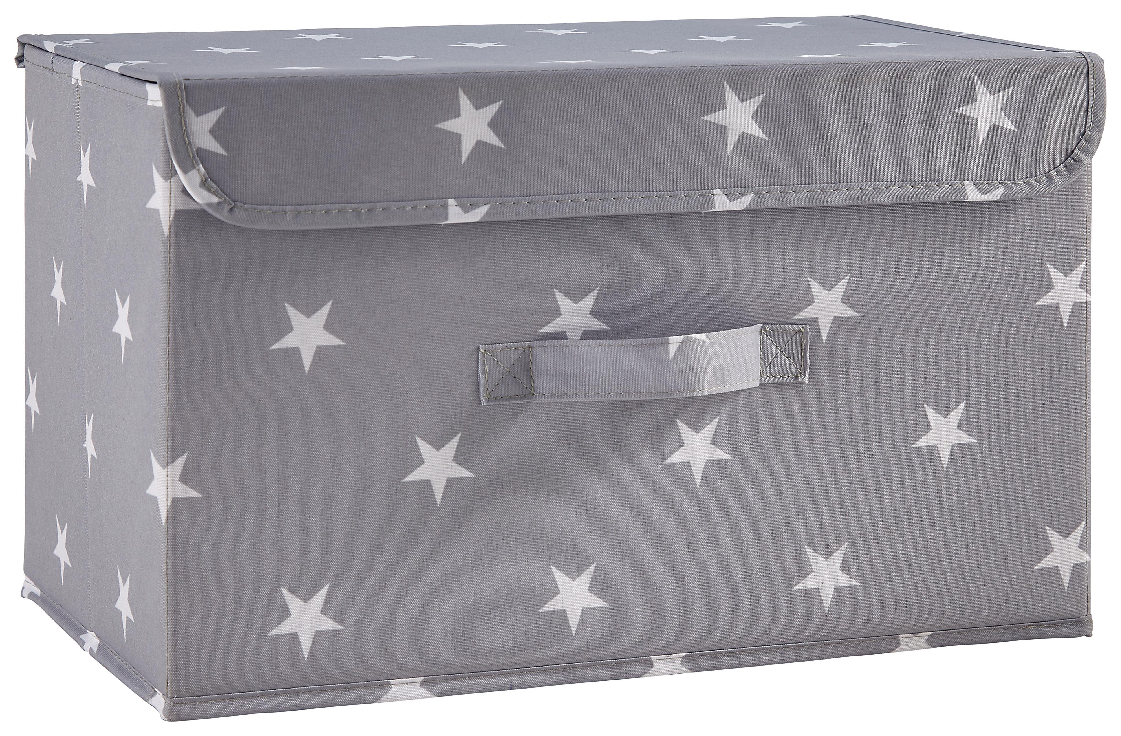 Box Sandy in Grau mit Deckel ca. 40x25x25 cm - Weiß/Grau, MODERN, Kunststoff (40/25/25cm) - Bessagi Home