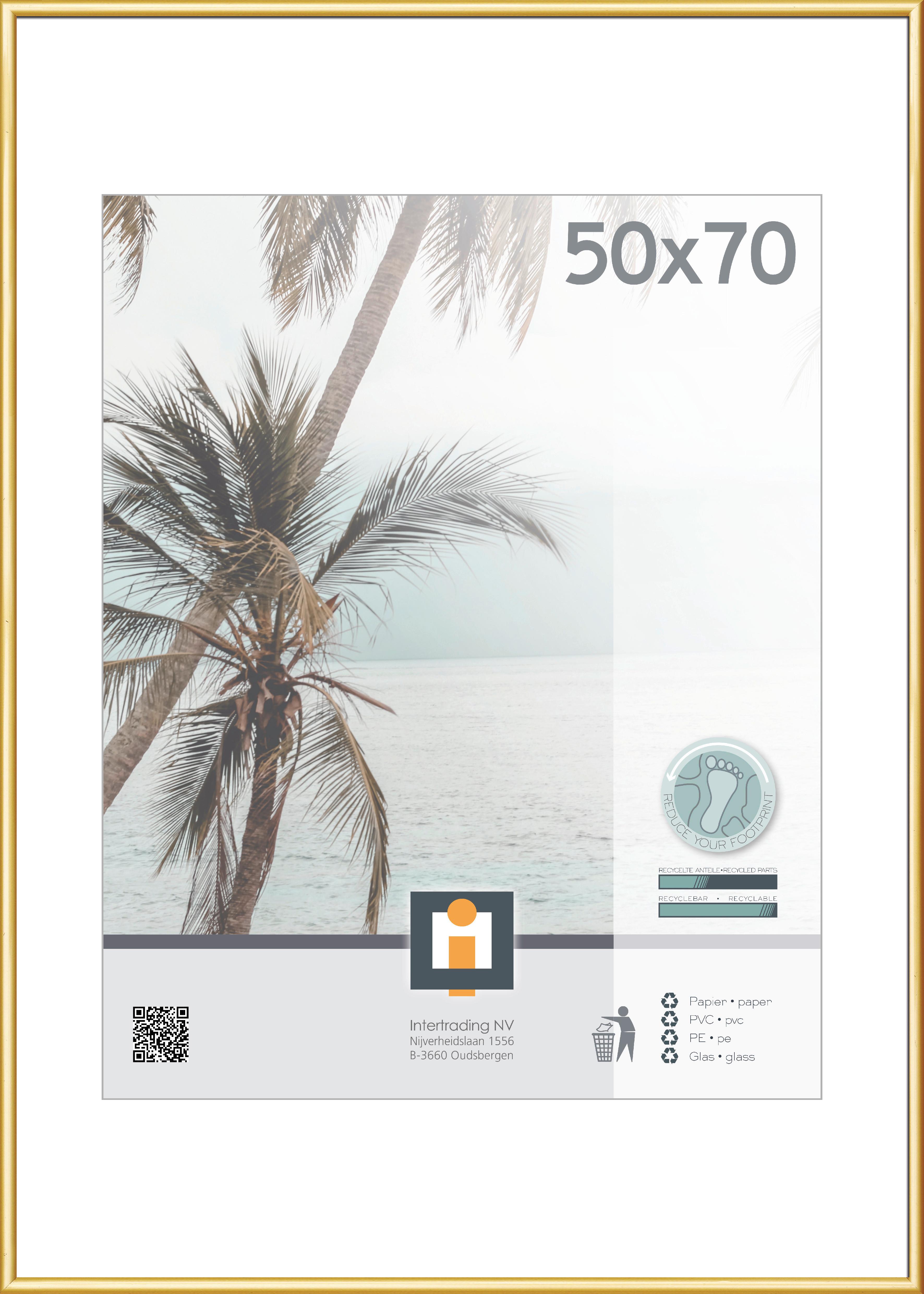 RAMKA NA ZDJĘCIA 660620 - kolor złoty, Basics, tworzywo sztuczne/szkło (71,1/51,1cm)