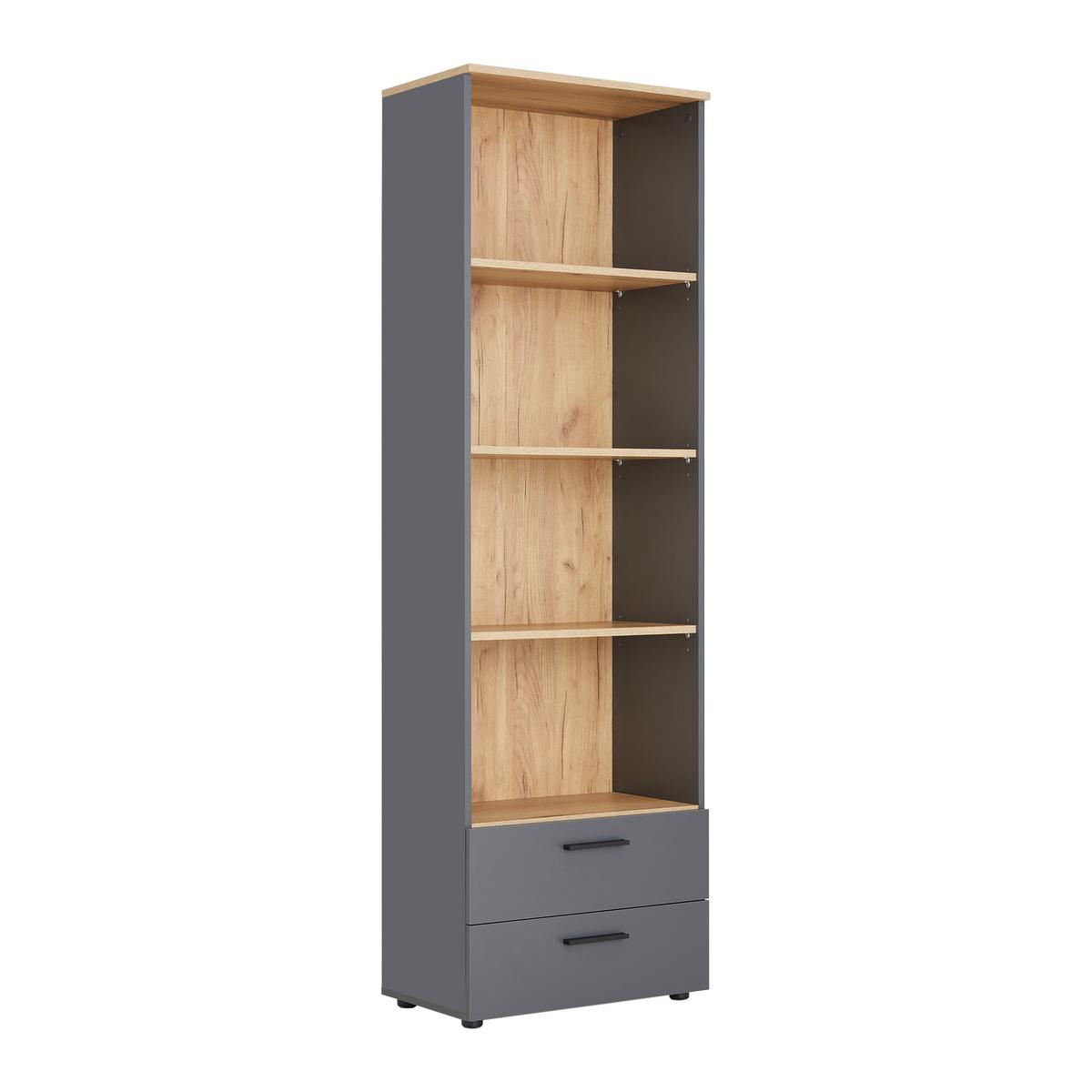 Regal Cadix Anthrazit/Eichefarben - Eichefarben/Anthrazit, KONVENTIONELL, Holzwerkstoff/Kunststoff (60/195/36cm) - Mömax