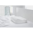 Nyakpárna Visco Comfort - fehér, textil (30/48/11cm) - MÖMAX modern living