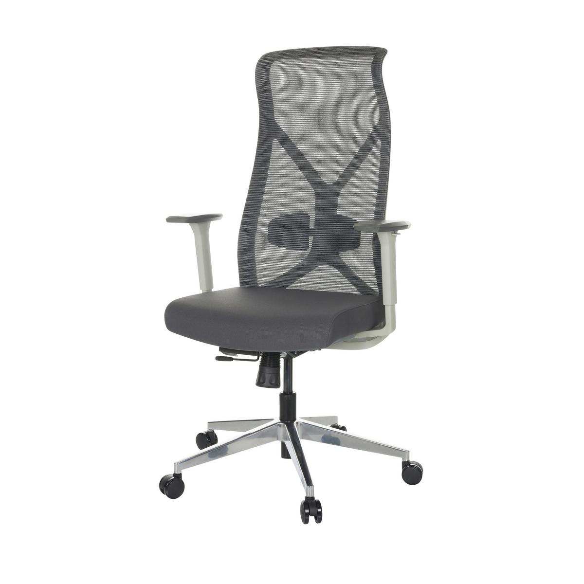 Pisarniški Stol Azurro W, Siva - srebrne barve/črna, Basics, kovina/umetna masa (69/119-128/60cm) - MID.YOU