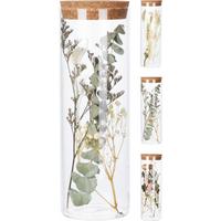 Sušeno Cvijeće Cork - Moderno, staklo (8/24cm)
