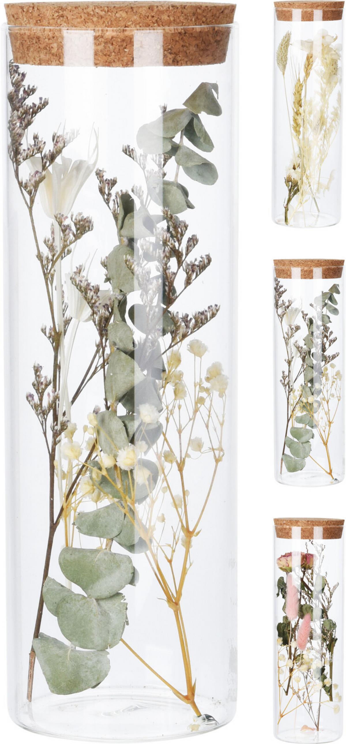 Sušeno Cvijeće Cork - Moderno, staklo (8/24cm)